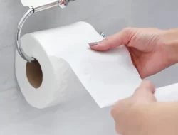 Mengungkap Misteri Cebok: Air vs. Tisu, Budaya dan Cuaca Menjadi Penentu? 