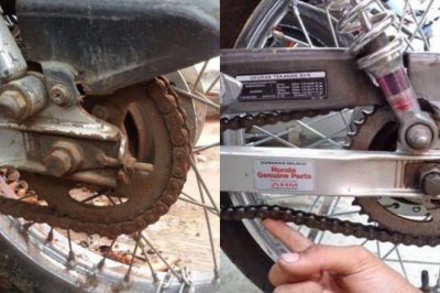 InCollage 20240308 031816470 e1709843237951