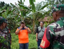 Status AWAS! Gunungapi Ibu Erupsi, Ribuan Warga Halmahera Barat Dievakuasi