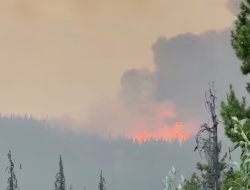 Kota-kota di BC penuh, pengungsi kebakaran hutan Jasper diarahkan ke Alberta