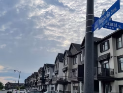 Seorang pria ditembak dan tewas pada Selasa malam di Orléans