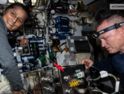 2 Astronot NASA Terjebak di Stasiun Luar Angkasa