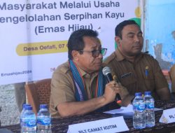 Pohon Kedondong Hutan Jadi Emas Hijau! Inovasi Pj. Bupati Kupang Tingkatkan Ekonomi Desa