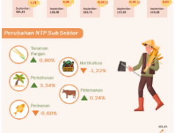 Petani Perkebunan dan Peternakan Dorong Kenaikan NTP NTT Hingga 101,43S