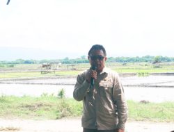 Langkah Berani: Penjabat Bupati Kupang Galakkan Percepatan Tanam di Lahan Belasan Hektar