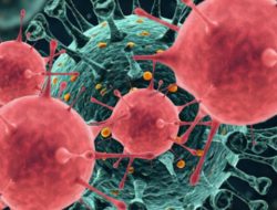 HMPV Terdeteksi, Menkes: Gejala Mirip Flu Biasa, Jangan Panik!