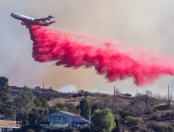Apa bubuk merah muda yang dijatuhkan petugas pemadam kebakaran di LA