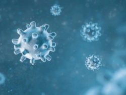 Apa itu Virus HMPV dan Penanganannya