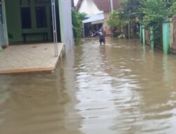BNPB Update: Banjir Rendam Ribuan Rumah di Lampung, Prabumulih, dan Paser