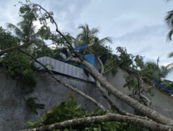 Waspada! BMKG Prediksi Cuaca Ekstrem 3 Hari ke Depan di Puluhan Provinsi