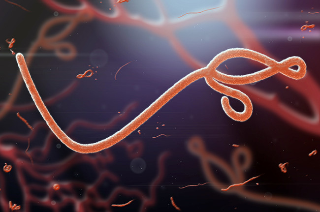 ebola