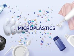Studi menemukan kadar mikroplastik yang tinggi di otak manusia