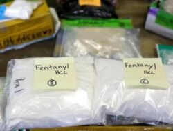 Pihak Berwenang Meksiko Temukan 31Kg Fentanil