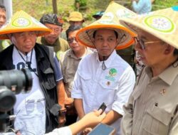 Menhut Raja Juli, Ketua HKTI Fadli Zon dan Haji Taufiq Panen Perdana Sorgum dan Tanam Alpukat Bersama