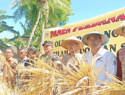Panen Perdana di Desa Mata Air Jadi Momentum Kebangkitan Pertanian Kabupaten Kupang