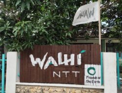 KPK Bongkar Tambang Ilegal di Pulau Sebayur, Walhi NTT: Skandal Emas Dekat Habitat Komodo Terungkap?