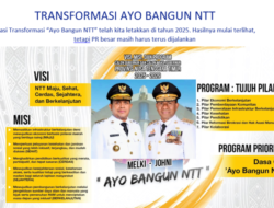 Ayo Bangun NTT: Antara Capaian Nyata dan Tantangan Struktural SDM