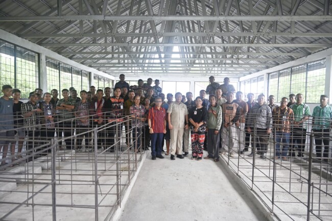 tak-boleh-mangkrak-bupati-kupang-optimalkan-upt-pembibitan-babi-demi-lompatan-kualitas-ternak-dan-pad