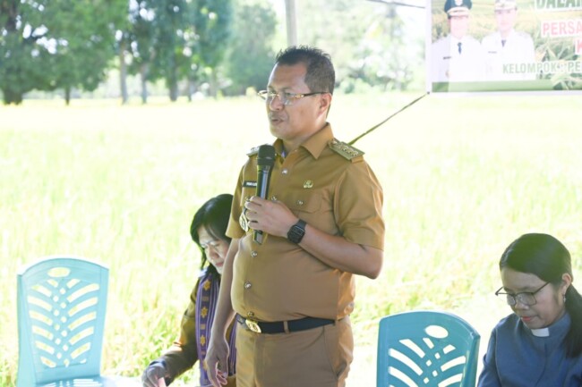 antara-kesejahteraan-dan-godaan-jual-lahan-dilema-petani-di-tengah-hasil-melimpah