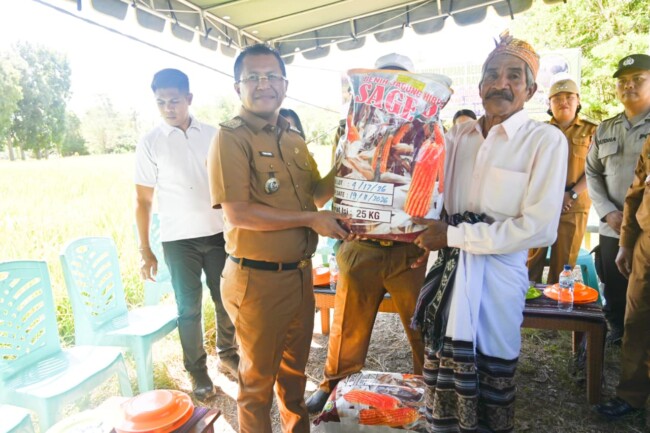 panen-melimpah-di-noelsinas-yosef-lede-serahkan-bantuan-dan-apresiasi-kinerja-petani