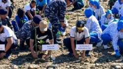 fkkh-undana-tanam-mangrove-dan-bersihkan-pantai-oesapa-rektor-kampus-harus-berdampak-bagi-lingkungan
