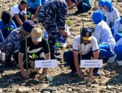 FKKH Undana Tanam Mangrove dan Bersihkan Pantai Oesapa, Rektor: Kampus Harus Berdampak bagi Lingkungan