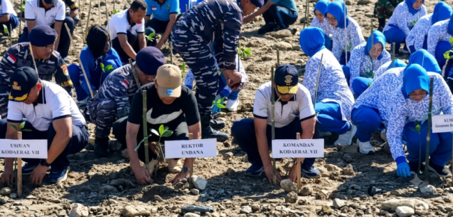 fkkh-undana-tanam-mangrove-dan-bersihkan-pantai-oesapa-rektor-kampus-harus-berdampak-bagi-lingkungan