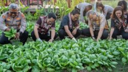 Undana dan Polres Kupang Bangun Kolaborasi Ketahanan Pangan, Kampus Jadikan Eco Wisata Tantya Sudhirajati sebagai Laboratorium Lapangan 2 undana-dan-polres-kupang-bangun-kolaborasi-ketahanan-pangan-kampus-jadikan-eco-wisata-tantya-sudhirajati-sebagai-laboratorium-lapangan