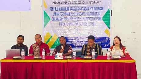 700 Hektare Sawah Oesao dan Taruhan Ketahanan Pangan Kabupaten Kupang 1 700-hektare-sawah-oesao-dan-taruhan-ketahanan-pangan-kabupaten-kupang